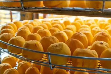 Doğal Kurutma: Malatya Gün Kurusu ve Faydaları