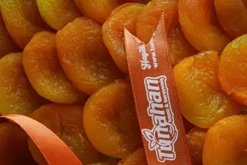 Toplu Malatya Kayısısı Siparişi: Doğal ve Lezzetli Alternatifler